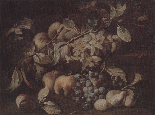 unknow artist Still life of red and white grapes,peaches and plums,on a stone ledge
